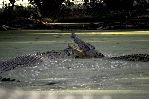 Billabong Sanctuary - Holiday Jervis Bay 3