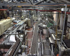 Cascade Brewery Tour - Holiday Jervis Bay 2