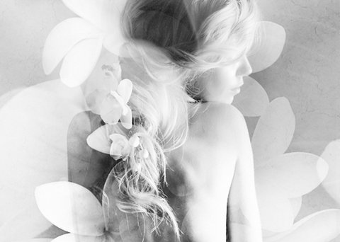 Elysium- A Place Of Beauty - Holiday Jervis Bay 1