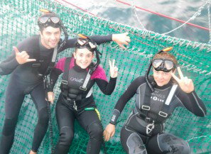 Dolphin Swim Australia - Holiday Jervis Bay 7