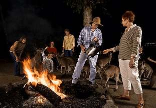 Cairns Night Zoo - Holiday Jervis Bay