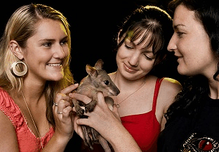 Cairns Night Zoo - Holiday Jervis Bay 1