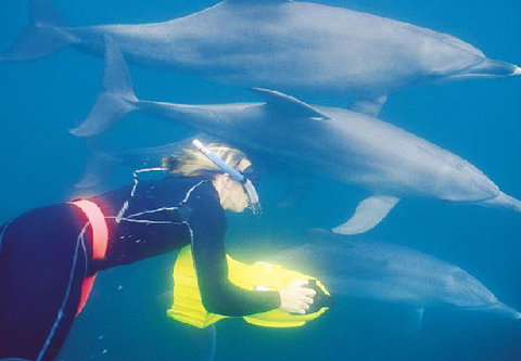 Rockingham Wild Encounters - Holiday Jervis Bay 1