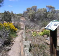 Christmas Rock Walk - Holiday Jervis Bay