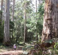 Warren River Loop Walk - Holiday Jervis Bay
