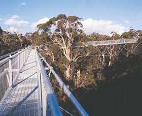 Walpole-Nornalup National Park - Holiday Jervis Bay 0