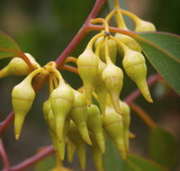 Mount Short Scenic Drive - Holiday Jervis Bay