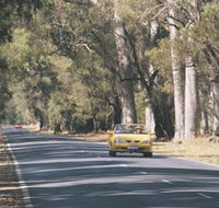 Ludlow Tuart Forest - Holiday Jervis Bay