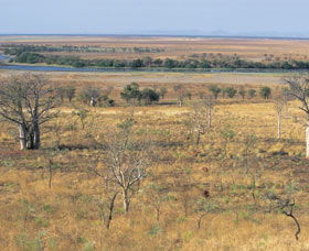 Marglu Billabong - Holiday Jervis Bay 0