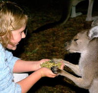 Discovery Bay's Walk on the Wild Side - Holiday Jervis Bay