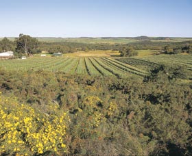 Chapman Valley Scenic Drive - Holiday Jervis Bay 0