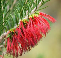 Ethel Daw Scenic Drive - Holiday Jervis Bay
