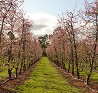 Raeburn Orchards - Holiday Jervis Bay