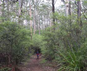 Margaret River Rails Trail - Holiday Jervis Bay 0