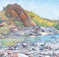 Red Dirt Arts - Holiday Jervis Bay