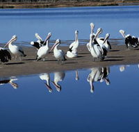 Peel Region Canoe Trails - Holiday Jervis Bay