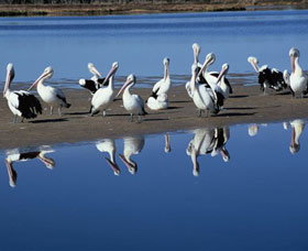 Peel Region Canoe Trails - Holiday Jervis Bay 0
