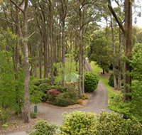 Mount Lofty Botanic Garden - Holiday Jervis Bay