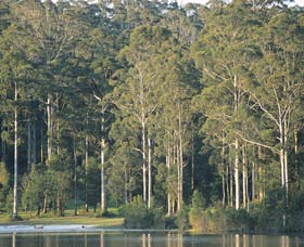 Big Brook Dam - Holiday Jervis Bay 0