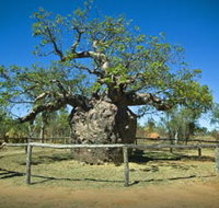 Pigeon Heritage Trail - Holiday Jervis Bay