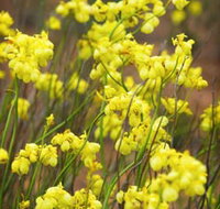 Mount Madden Scenic Drive - Holiday Jervis Bay