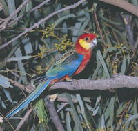 King River - Holiday Jervis Bay