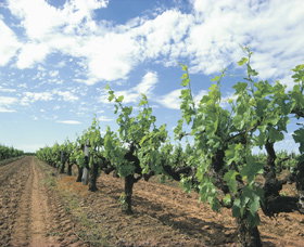 Blackwood Meadery - Holiday Jervis Bay 0