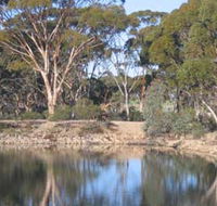 Merredin Railway Dam - Holiday Jervis Bay