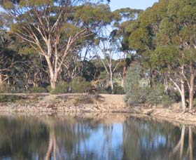 Merredin Railway Dam - Holiday Jervis Bay 0