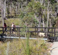 Forest Path Crooked Brook - Holiday Jervis Bay