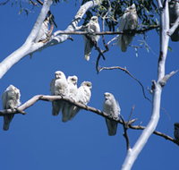 Carawine Gorge - Holiday Jervis Bay