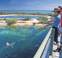 Shark Bay Marine Park - Holiday Jervis Bay