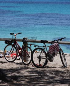 Parker Point Marine Snorkel Trail - Holiday Jervis Bay 0