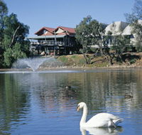 White Swans - Holiday Jervis Bay