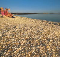 Shell Beach - Holiday Jervis Bay