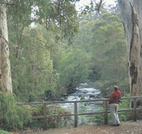 Cascades - Holiday Jervis Bay