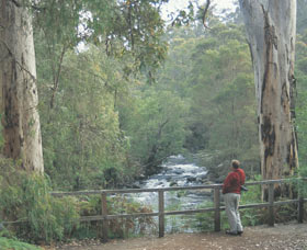 Cascades - Holiday Jervis Bay 0