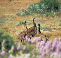 Jurabi Coastal Reserve - Holiday Jervis Bay
