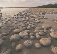 Yalgorup National Park - Holiday Jervis Bay