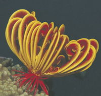 Lighthouse Bay - Holiday Jervis Bay