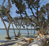 Stokes National Park - Holiday Jervis Bay