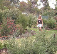 The Mythic Mazes - Holiday Jervis Bay