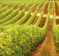 Darlington Estate Winery and Restaurant - Holiday Jervis Bay