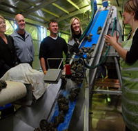 Eyre Peninsula's Seafood Trail - Holiday Jervis Bay