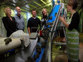 Eyre Peninsula's Seafood Trail - Holiday Jervis Bay 0