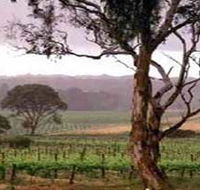 Yangarra Estate Vineyard - Holiday Jervis Bay