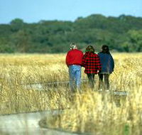 Onkaparinga River Recreation Park - Holiday Jervis Bay