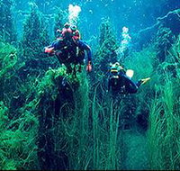 Ewens Ponds Conservation Park - Holiday Jervis Bay