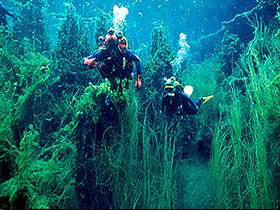Ewens Ponds Conservation Park - Holiday Jervis Bay 0