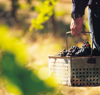 Burge Family Winemakers - Holiday Jervis Bay